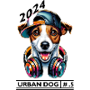 Urban Jack Russell