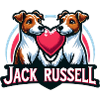 Amour Jack Russell