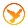 Voler, Voler, Volée D’oiseaux