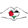 Palestine Flag Heart Shape Used