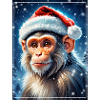 Winter Landscape Monkey 1.3