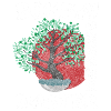 Bonsai Tree Art Meditation Buddhism