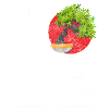 Bonsai Growers