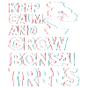 Bonsaï, Japonais, Bouddhisme