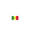 Fier drapeau sénégalais du Sénégal