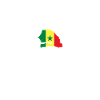 Senegal Map Flag Senegalese