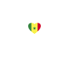 Senegal Senegalese Flag Senegalese