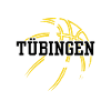 Tübingen, meine Stadt!