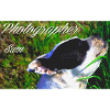 SamPhotographer