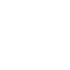 Limited Edition 1966