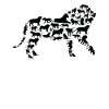 Lion Wildlife Africa Lions Silhouette