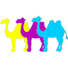 Camels