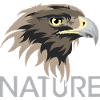 Nature eagle icon animals logo illustration