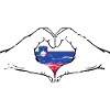 Slovenia Flag Heart Shape Used