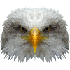 Eagle Polygon