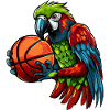 Perroquet de basket-ball