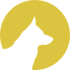 German Shepherd Dog