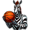 Zebra Basketball Player