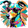 Italian greyhound