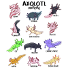 Various Kawaii Axolotls