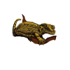 Drawing - Mute-headed Gecko