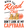 Capybara Cadeau Capibara Capybara