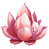 Lotusblüte