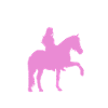 Ciel étoilé Cavalier Amour Chevaux
