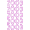 Party 2003
