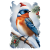 Christmas bird 7