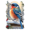 Christmas bird 2