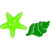 Starfish Shell 1