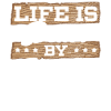 Wood-burning pyrography master carpenter