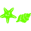 Starfish Shell 1