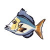 Humuhumunukunukuapua'a Reef Hawaiian Triggerfish