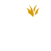 GG Jungle Diff Gamer Gaming