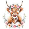 Scottish Highland Cow