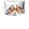 Beagle Chemise de nuit préférée