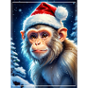 Winter Landscape Monkey 1.10
