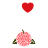 Fruit Humour petit litchi