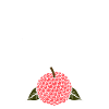 Fruit Humour petit litchi
