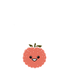 Fruit Humour petit litchi