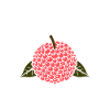 Fruit Humour petit litchi