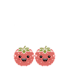 Fruit Humour petit litchi