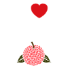 Fruit Humour petit litchi