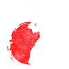 Japan Aikido Courage Ninja