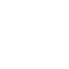 Édition limitée 1981