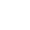 Limited Edition 1985