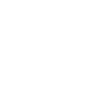 Édition limitée 1991