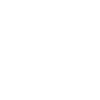 Édition limitée 1995